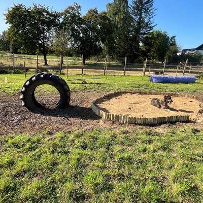 Giftköder-Privater Hundespielplatz & Hundefreilauf-Bild