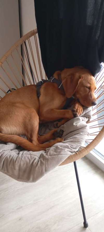 Wir sind nicht allein-Beitrag-Bild