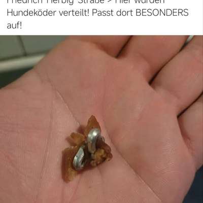 Giftköder-Giftköder in Erding-Bild