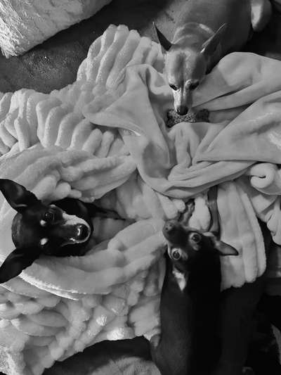 Foto-Challenge 76: Foto in Schwarz-Weiss-Beitrag-Bild