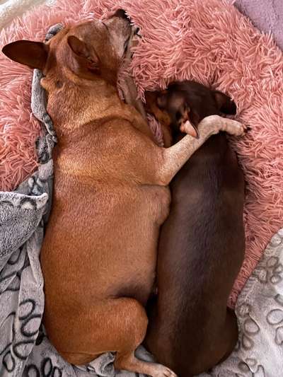 Foto Challenge Nr.: 115-Beitrag-Bild