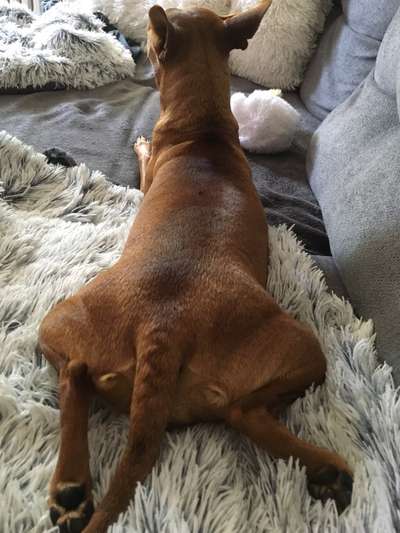 Blick fürs Detail!-Beitrag-Bild