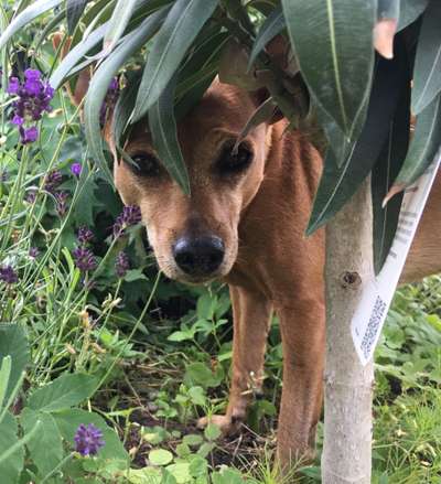 Fotowettbewerb Natur-Beitrag-Bild