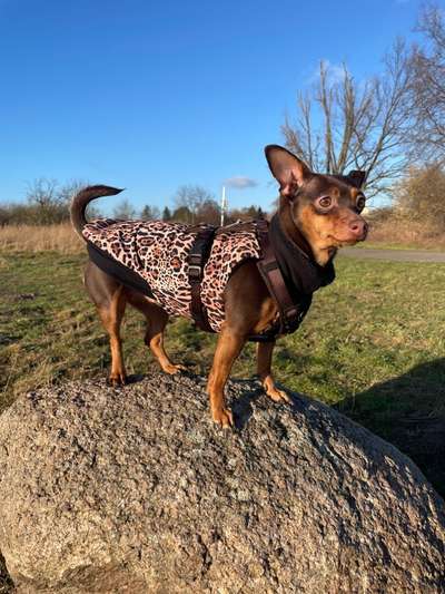 Fotowettbewerb Natur-Beitrag-Bild