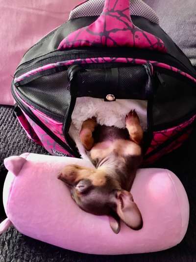 Foto Challange Nr.80-Beitrag-Bild