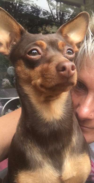 Dogorama Photo Challenge - Selfie Time!-Beitrag-Bild