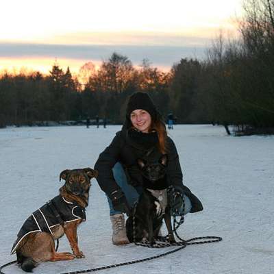 Hundetreffen-Social Walk