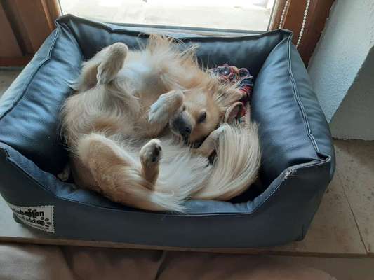 Die unbequemsten und lustigsten Schlafpositionen-Beitrag-Bild