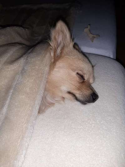 Die unbequemsten und lustigsten Schlafpositionen-Beitrag-Bild