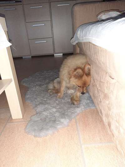 Die unbequemsten und lustigsten Schlafpositionen-Beitrag-Bild