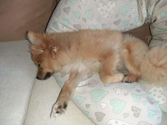 Die unbequemsten und lustigsten Schlafpositionen-Beitrag-Bild