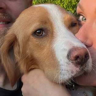 Hundetreffen-Mantrailing-Profilbild