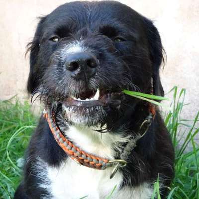 LUSTIGE FOTOS! WER KANN MITHALTEN?-Beitrag-Bild