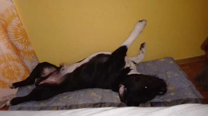 CHALLENGE NR. 34 - Liege-/Schlafpositionen-Beitrag-Bild