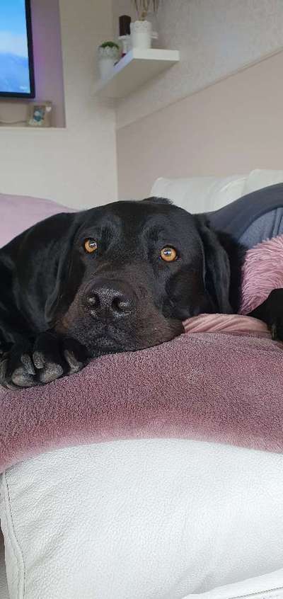 Fotochallenge Nr. 56 - geliebte Senioren-Beitrag-Bild