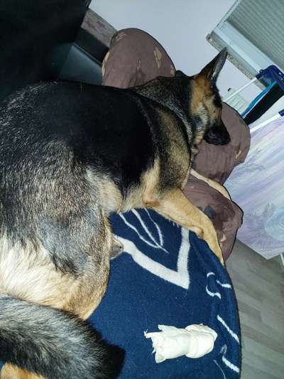 Foto Challenge Nr. 134-Beitrag-Bild