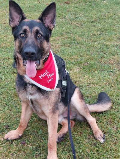 11. Farben Foto Challenge Rot-Beitrag-Bild