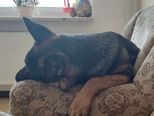 Foto Challenge Nr. 134-Beitrag-Bild