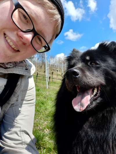 Dogorama Photo Challenge - Einmal lächeln bitte-Beitrag-Bild