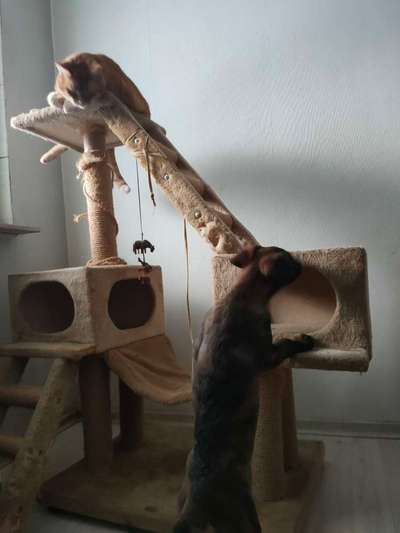 CHALLENGE Nr.17-Beitrag-Bild