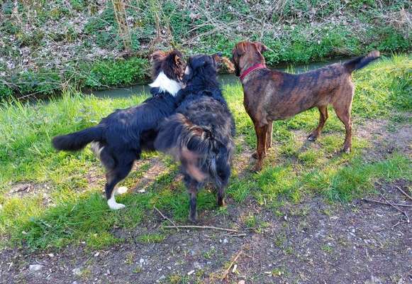 Challenge 30  Freundschaft-Beitrag-Bild