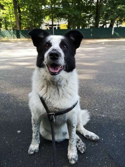 Lieblingsbild :D-Beitrag-Bild