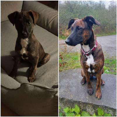 Vorher.... Nachher-Beitrag-Bild