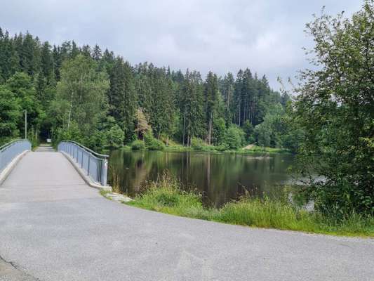 Hundeauslaufgebiet-Stausee Regen-Bild