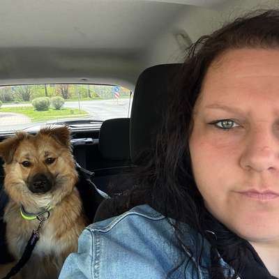 Hundetreffen-Neundorfer Badeteich-Profilbild