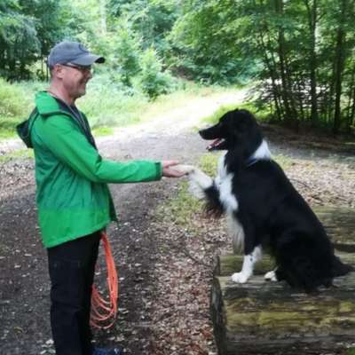 Hundetreffen-Neu Thüringer Wald 🌳