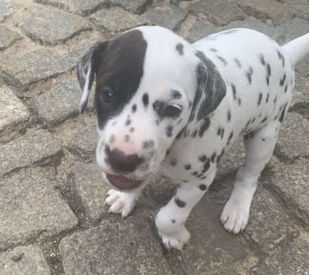 Erstes Bild-Beitrag-Bild