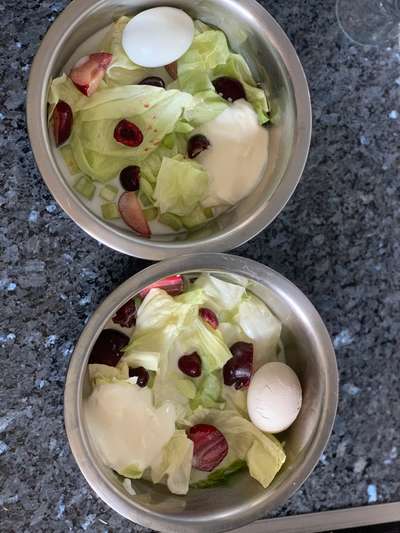 Zeigt her Eure Futternäpfe-Beitrag-Bild