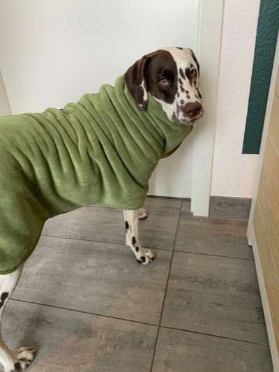 Trockenhandtuch/handschuh-Beitrag-Bild