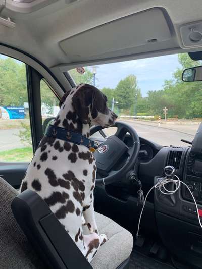 Fotochallenge 101:
On Tour-Beitrag-Bild