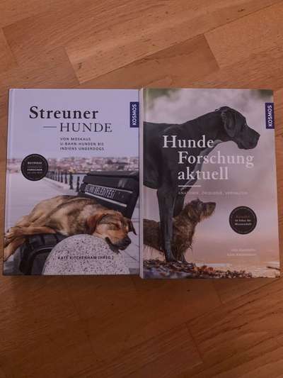 Hunde-Fachliteratur-Beitrag-Bild