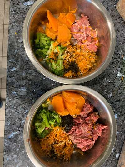 Zeigt her Eure Futternäpfe-Beitrag-Bild