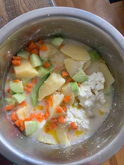 Zeigt her Eure Futternäpfe-Beitrag-Bild