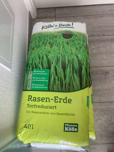 Blumenerde mit Xylit gefressen-Beitrag-Bild