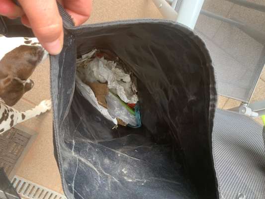 Challenge – Gassi & Clean-Beitrag-Bild