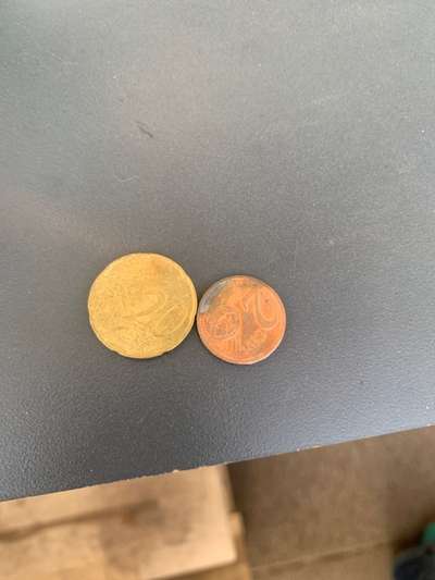 Challenge – Gassi & Clean-Beitrag-Bild