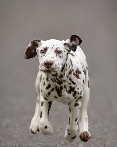 20. Handy -Foto-Callenge-Beitrag-Bild