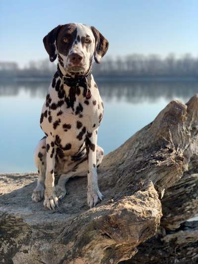 Fotowettbewerb Natur-Beitrag-Bild