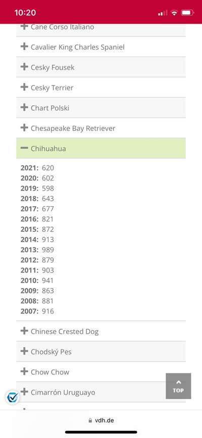 Qualzucht - Warum Aufklärung alleine nicht reicht-Beitrag-Bild