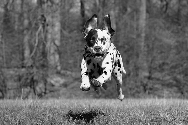 Foto-Challenge 76: Foto in Schwarz-Weiss-Beitrag-Bild