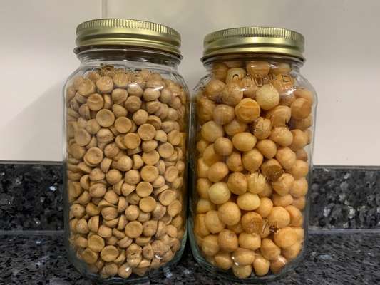 Zeigt her Eure Futternäpfe-Beitrag-Bild