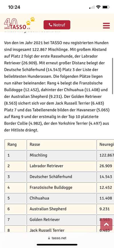 Qualzucht - Warum Aufklärung alleine nicht reicht-Beitrag-Bild