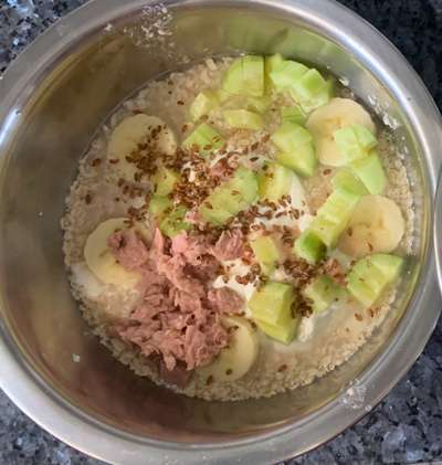 Zeigt her Eure Futternäpfe-Beitrag-Bild