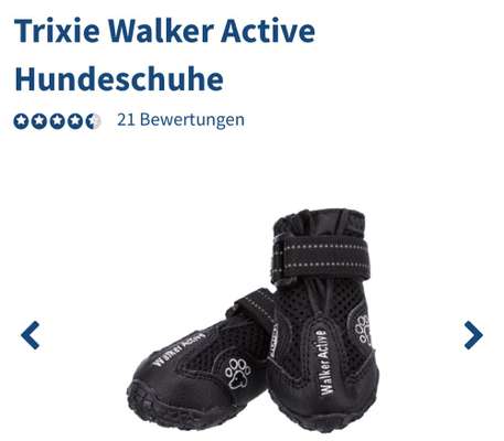 Krallenverletzung - brauche moralischen Beistand-Beitrag-Bild