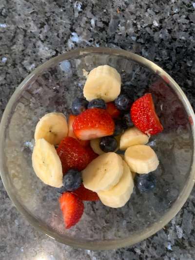 Zeigt her Eure Futternäpfe-Beitrag-Bild