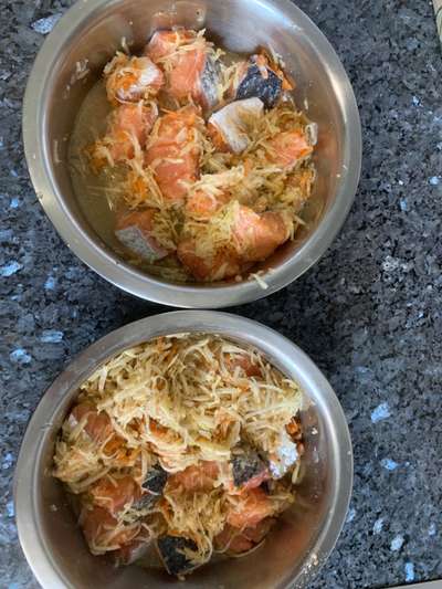 Zeigt her Eure Futternäpfe-Beitrag-Bild